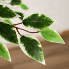 Дерево искусственное «Лист с белым», h=160 см - фото 60760991