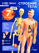 Набор для опытов «Строение тела», анатомия человека - Фото 1