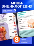 Набор для опытов «Строение тела», анатомия человека - Фото 5