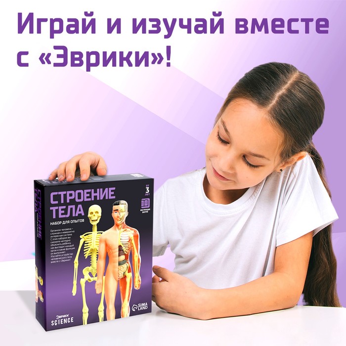 Набор для опытов «Строение тела», анатомия человека - фото 1908353680