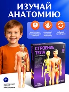 Набор для опытов «Строение тела», анатомия человека - Фото 6
