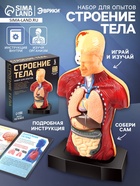 Научный опыт «Строение тела» - Фото 1