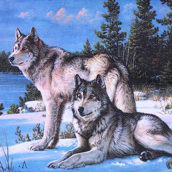 Сувенир свиток "Два волка" - фото 1905446940