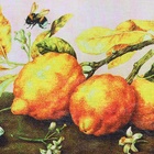 Сувенир свиток "Лимоны и шмель" - фото 9529998