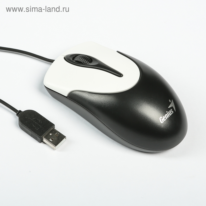 Мышь Genius NetScroll 100, проводная, оптическая,  800 dpi, USB, симметричная, черная - Фото 1