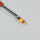 Кисть для дизайна ногтей «Градиент», 19 см, ворс 5×12 мм, коричневая - Фото 2