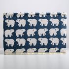 Короб стеллажный для хранения с крышкой «Северные мишки», 25×20×17 см, синий - Фото 4