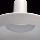 Светильник «Эдгар», 18Вт LED, цвет белый - Фото 6