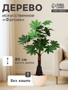 Дерево искусственное «Фатсия», h=80 см - Фото 1