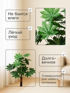 Дерево искусственное «Фатсия», h=80 см - Фото 2
