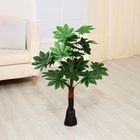 Дерево искусственное «Фатсия», h=80 см - Фото 3