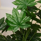 Дерево искусственное «Фатсия», h=80 см - Фото 4