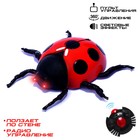 Жук на радиоуправлении «Божья коровка», ползает по стене - Фото 1