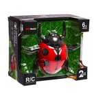 Жук на радиоуправлении «Божья коровка», ползает по стене - Фото 7