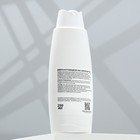 Шампунь распутывающий «Пижон», 250 мл, для собак с длинной шерстью - Фото 3