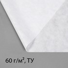 Материал укрывной, 10 × 1,6 м, плотность 60 г/м², спанбонд с УФ-стабилизатором, белый, Greengo, Эконом 20% - фото 8966462