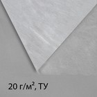 Материал укрывной, 5 × 1.6 м, плотность 20 г/м², спанбонд с УФ-стабилизатором, белый, Greengo, Эконом 20% - Фото 6