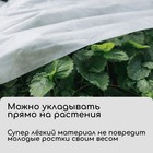 Материал укрывной, 5 × 1.6 м, плотность 20 г/м², спанбонд с УФ-стабилизатором, белый, Greengo, Эконом 20% - Фото 2