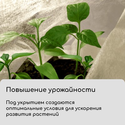 Материал укрывной, 5×1.6 м, плотность 42 г/м², спанбонд с УФ-стабилизатором, белый, Greengo, Эконом 30%