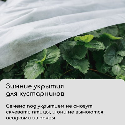 Материал укрывной, 5×1.6 м, плотность 42 г/м², спанбонд с УФ-стабилизатором, белый, Greengo, Эконом 30%