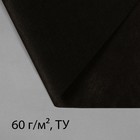 Материал мульчирующий, 5 × 1.6 м, плотность 60 г/м², спанбонд с УФ-стабилизатором, чёрный, Greengo, Эконом 20% - Фото 9