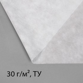 Материал укрывной, 10 × 1.6 м, плотность 30 г/м², спанбонд с УФ-стабилизатором, белый, Greengo, Эконом 20%