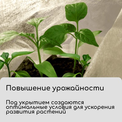 Материал укрывной, 10×1.6 м, плотность 30 г/м², спанбонд с УФ-стабилизатором, белый, Greengo, Эконом 30%