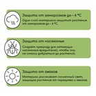 Материал укрывной, 10 × 1,6 м, плотность 42 г/м², спанбонд с УФ-стабилизатором, белый, Greengo, Эконом 20% - Фото 5