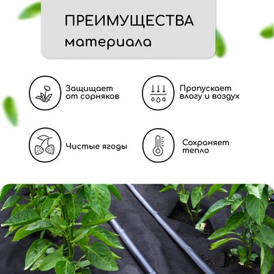 Материал мульчирующий, 10×1.6 м, плотность 60 г/м², спанбонд с УФ-стабилизатором, чёрный, Greengo, Эконом 30%