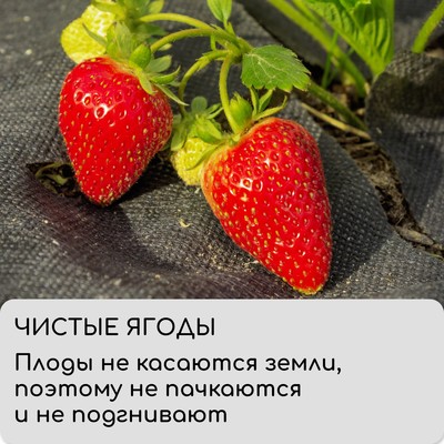 Материал мульчирующий, 10×1.6 м, плотность 60 г/м², спанбонд с УФ-стабилизатором, чёрный, Greengo, Эконом 30%