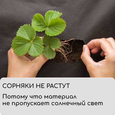 Материал мульчирующий, 10×1.6 м, плотность 60 г/м², спанбонд с УФ-стабилизатором, чёрный, Greengo, Эконом 30%