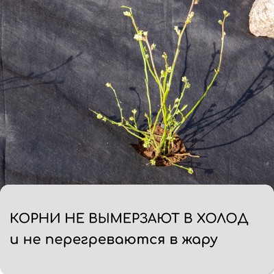 Материал мульчирующий, 10×1.6 м, плотность 60 г/м², спанбонд с УФ-стабилизатором, чёрный, Greengo, Эконом 30%