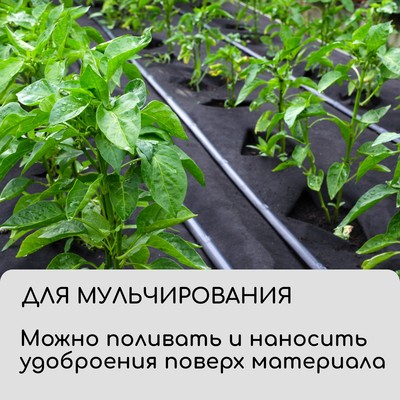 Материал для ландшафтных работ, 10×1.6 м, плотность 120 г/м², спанбонд с УФ-стабилизатором, чёрный, Greengo, Эконом 30%