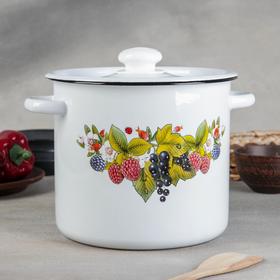 Кастрюля эмалированная, 5.5 л, пластмассовая ручка, рисунок МИКС, цвет белый