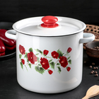 Кастрюля эмалированная, 5.5 л, пластмассовая ручка, рисунок МИКС, цвет белый - Фото 4