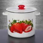 Кастрюля эмалированная, 5.5 л, пластмассовая ручка, рисунок МИКС, цвет белый - Фото 8