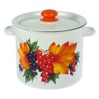 Кастрюля эмалированная, 5.5 л, пластмассовая ручка, рисунок МИКС, цвет белый - Фото 10