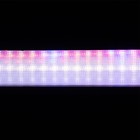 Фитосветильник светодиодный, 30 Вт, 640 мм, IP20, сине-красный спектр, розовый, "Петромаш" - Фото 9