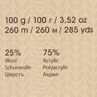 Пряжа "Crazy color" 25% шерсть, 75% акрил 260м/100гр (174 принт) - Фото 3