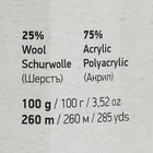 Пряжа "Crazy color" 25% шерсть, 75% акрил 260м/100гр (98 принт) - Фото 4