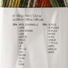 Пряжа "Crazy color" 25% шерсть, 75% акрил 260м/100гр (163 принт) - Фото 4