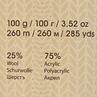 Пряжа "Crazy color" 25% шерсть, 75% акрил 260м/100гр (145 принт) - Фото 3