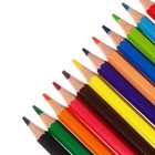 Карандаши 12 цветов Carioca "Tita Erasable", стираемые, яркий грифель 3.0 мм, шестигранные, пластиковые, картон, европодвес - Фото 6