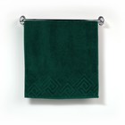 Полотенце махровое «Poseidon», 50х90, цвет зелёный - Фото 1