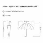 Зонт - трость полуавтоматический «Бабочки», 8 спиц, R = 40 см, разноцветный - Фото 6