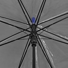 Зонт - трость полуавтоматический «Кант», 8 спиц, R = 41 см, цвет синий - Фото 3