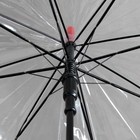 Зонт - трость полуавтоматический «Кант», 8 спиц, R = 41 см, цвет красный - Фото 3