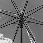 Зонт - трость полуавтоматический «Кант», 8 спиц, R = 41 см, цвет белый - Фото 3
