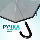 Зонт - трость полуавтоматический «Кант», 8 спиц, R = 43 см, цвет чёрный/прозрачный - Фото 2