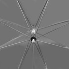 Зонт - трость полуавтоматический «Кант», 8 спиц, R = 43 см, цвет чёрный/прозрачный - Фото 6